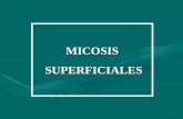 Micosis Superficiales Posadas