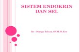 Sistem endokrin - Anatomi & Fisiologi | Just another Weblog .PPT file  Web view2015-03-05 