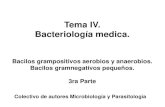 Tema IV. Bacteriolog­a .Bacterias intracelulares obligadas. ... Organismos intracelulares muy peque±os