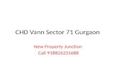 Chd vann sector 71 gurgaon  918826231688