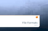 LO3 - Lesson 8 - File Formats