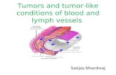 tumor and tumor like condition of blood vessel ,Dr sanjay bhardwaj ,jnmc amu aligarh