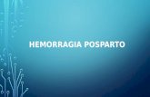 HPP Hemorragia posparto