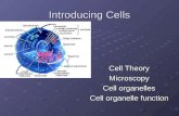 Introducing Cells Cell Theory Microscopy Cell organelles Cell organelle function