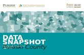Data SnapShot Series 1.0 March 2015 DATA SNAPSHOT Pulaski County
