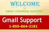 Contact Gmail Password Recovery