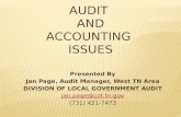 AUDIT  AND ACCOUNTING  ISSUES