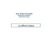 La fibrosi cistica Prof. Andrea Di Cataldo Dipartimento di Pediatria Universit  di Catania