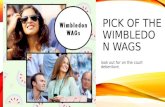 Wimbledon WAGs