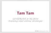 10 03-2011 - tam tam - presentatie workshop online strategie indutrade