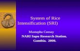 0002 System of Rice Intensification (SRI)
