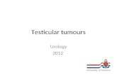Testicular tumours