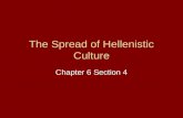 The Spread of Hellenistic Culture Chapter 6 Section 4