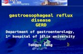 Gastroesophageal reflux disease GERD Department of gastroenterology, 1 st hospital of jilin university Tongyu Tang