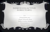 Dominios(active directory)
