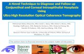 A Novel Technique to Diagnose and Follow up Conjunctival and Corneal Intraepithelial Neoplasia Using Ultra High Resolution Optical Coherence Tomography