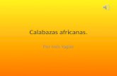Calabazas africanas