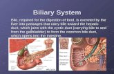 Biliary System