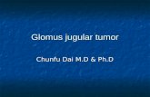Glomus jugular tumor
