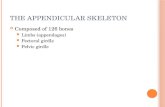 The Appendicular Skeleton