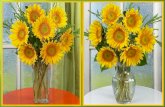 Beautiful Flowers Vases