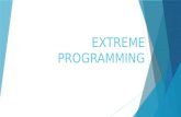Extreme Programming(Agile Methodology)