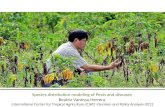 Herrera B - Spatial Epidemiology and Crop Pest and Diseases Mapping 2012
