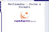 Multimedia : Forme e Formati. Forme Video Audio 3D