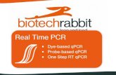 Che cosa offre biotechrabbit ? Prodotti per RealTime PCR (qPCR)