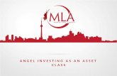 Angel Investing as an Asset Class