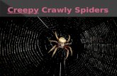 Creepy crawly spiders