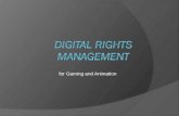 Digital Rights Management for Animation & Gaming