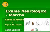 Exame Neurologico Marcha