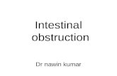 Intestinal obstruction neo