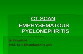 CT: Emphysematous Pyelonephritis