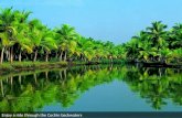 Kerala - Cochin