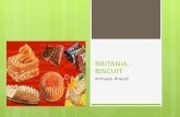 Britania Biscuit - A details presentation on various products & its marketing stategy