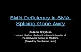 SMN Deficiency in SMA: Splicing Gone Awry Gideon Dreyfuss Howard Hughes Medical Institute, University of Pennsylvania School of Medicine [Played by Stephanne