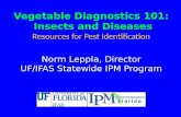 Vegetable Diagnostics 101: Insects and Diseases Insects and Diseases Resources for Pest Identification Norm Leppla, Director UF/IFAS Statewide IPM Program