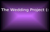 The Wedding Project (:. Invitations..Invitations.. Terra Bella Wedding Invitations   bella-wedding-invitations.html
