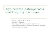 Age-related osteoporosis and fragility fractures Robert J. Pignolo, M.D., Ph.D. Assistant Professor University of Pennsylvania School of Medicine Department