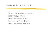 ANIMALS! What Do Animals Need? Body Coverings How Animals Hide? Suited to Their Food How Animals Behave?