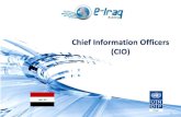 Chief  Information Officers (CIO)