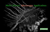 Multi- Photon   Microscopy  Applications