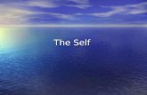The Self. Self-concept Self-concept â€“ knowledge and thoughts related to who you think you are. Self-concept â€“ knowledge and thoughts related to who you