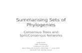 Summarising Sets of Phylogenies