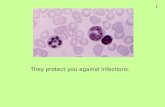 They protect you against infections