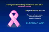 Chirurgische Behandeling Borstkanker anno 2010 Feiten en nieuws