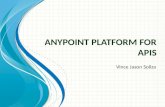 Anypoint platform for api
