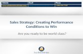 Sales Strategy - Creating Winning Performance Conditions